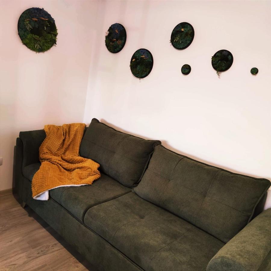 Cozy Studio Braşov Exterior foto