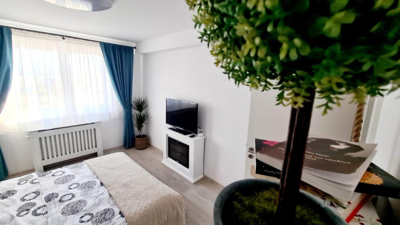 Cozy Studio Braşov Exterior foto